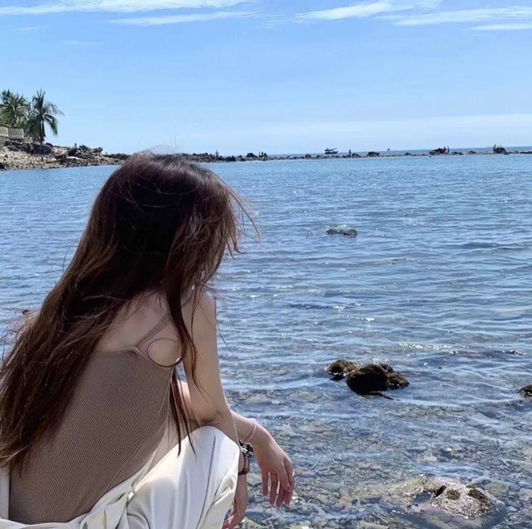 有一座有40只狗的城堡 海报